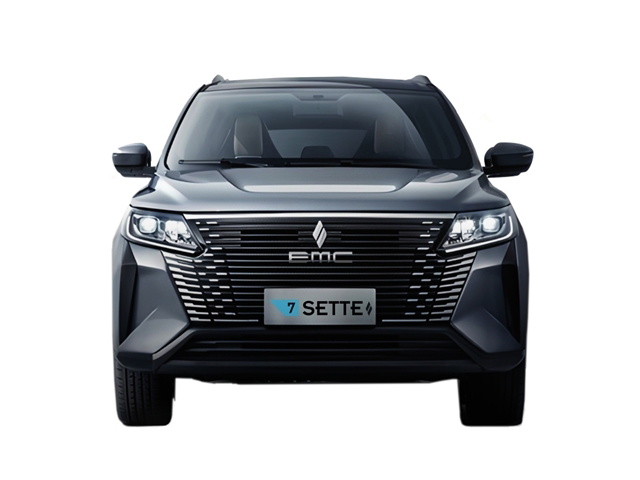 EMC SETTE
