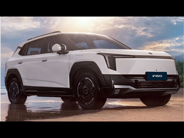 DONGFENG VIGO